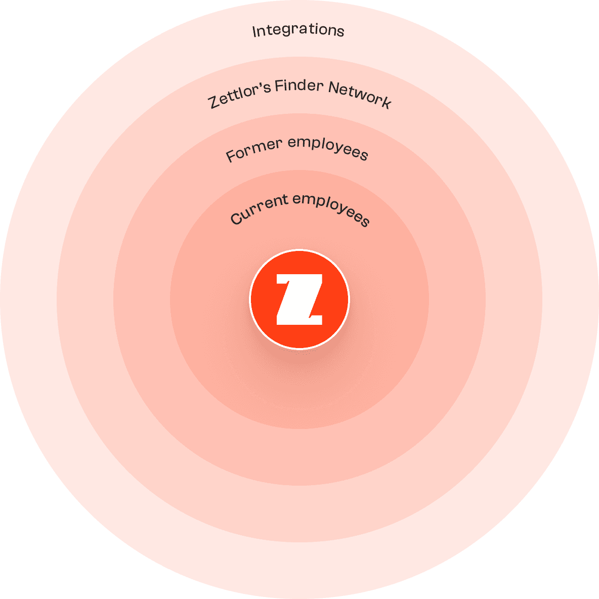 Zettlor Network Rings