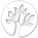 NOTTINGHAM VILLAGE's logo