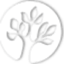Nottingham Village's logo
