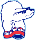 Polar Air Inc's logo